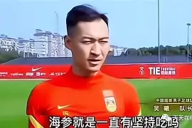 球员拼搏亮剑，决胜亚洲足坛王者之路的简单介绍